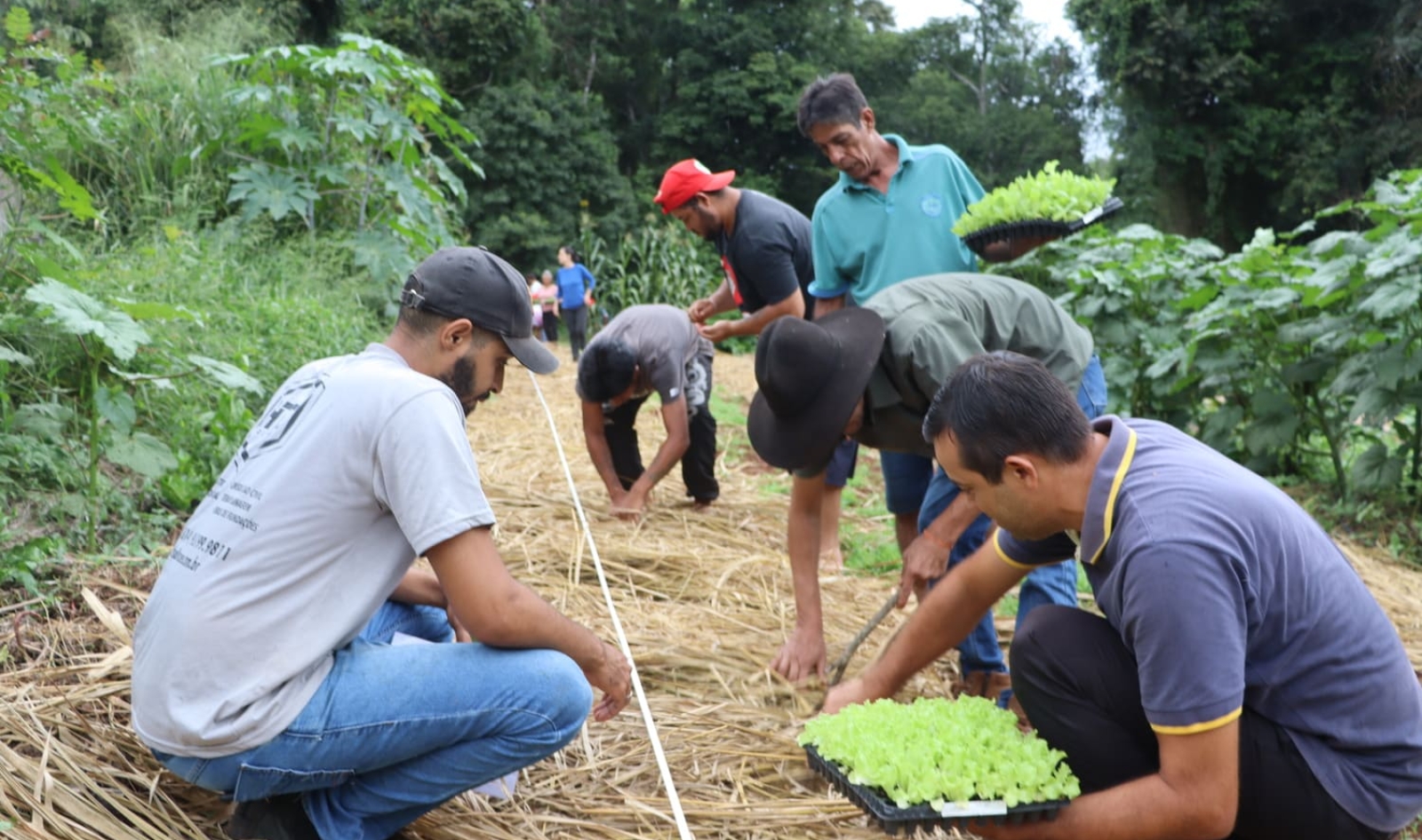 Itaipu promove capacitação em Agroecologia para comunidades rurais do Paraná