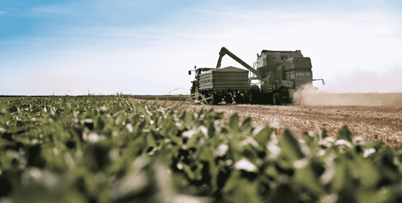 Sisprime ultrapassa R$ 1 bilhão em crédito para o agronegócio e consolida expansão no setor