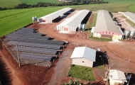 Energia solar no campo: a revolução silenciosa que está transformando o agronegócio