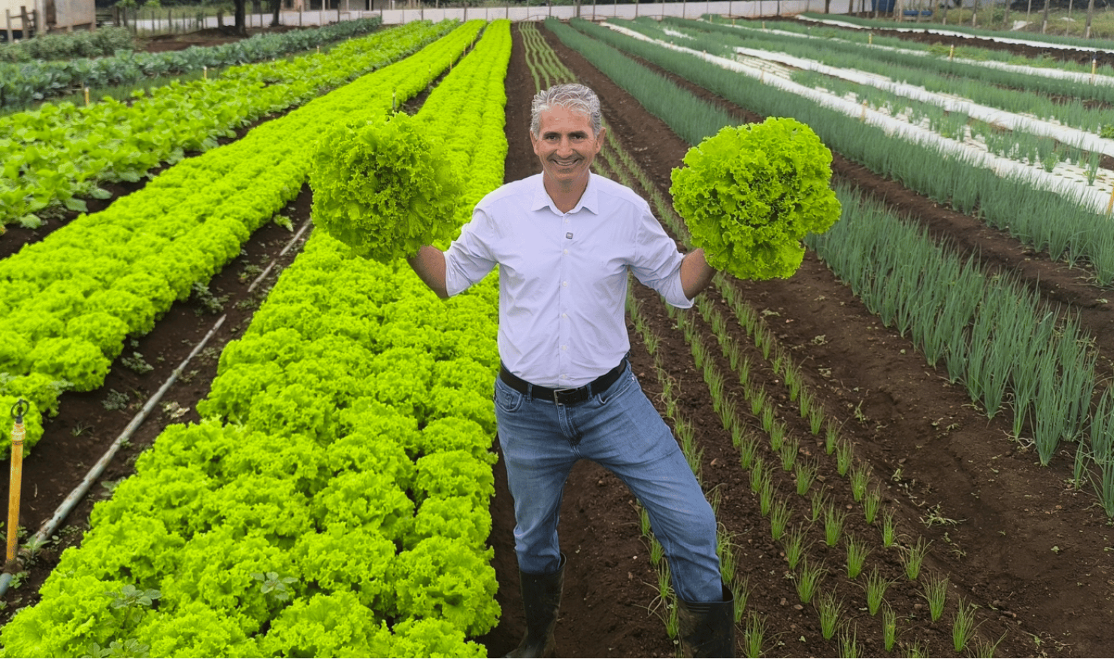 Magrão, o doutor alface