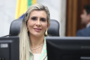 Deputada Flávia Francischini (União) apresenta propostas com novas sanções para a produção e comercialização de bebidas adulteradas ou falsificadas