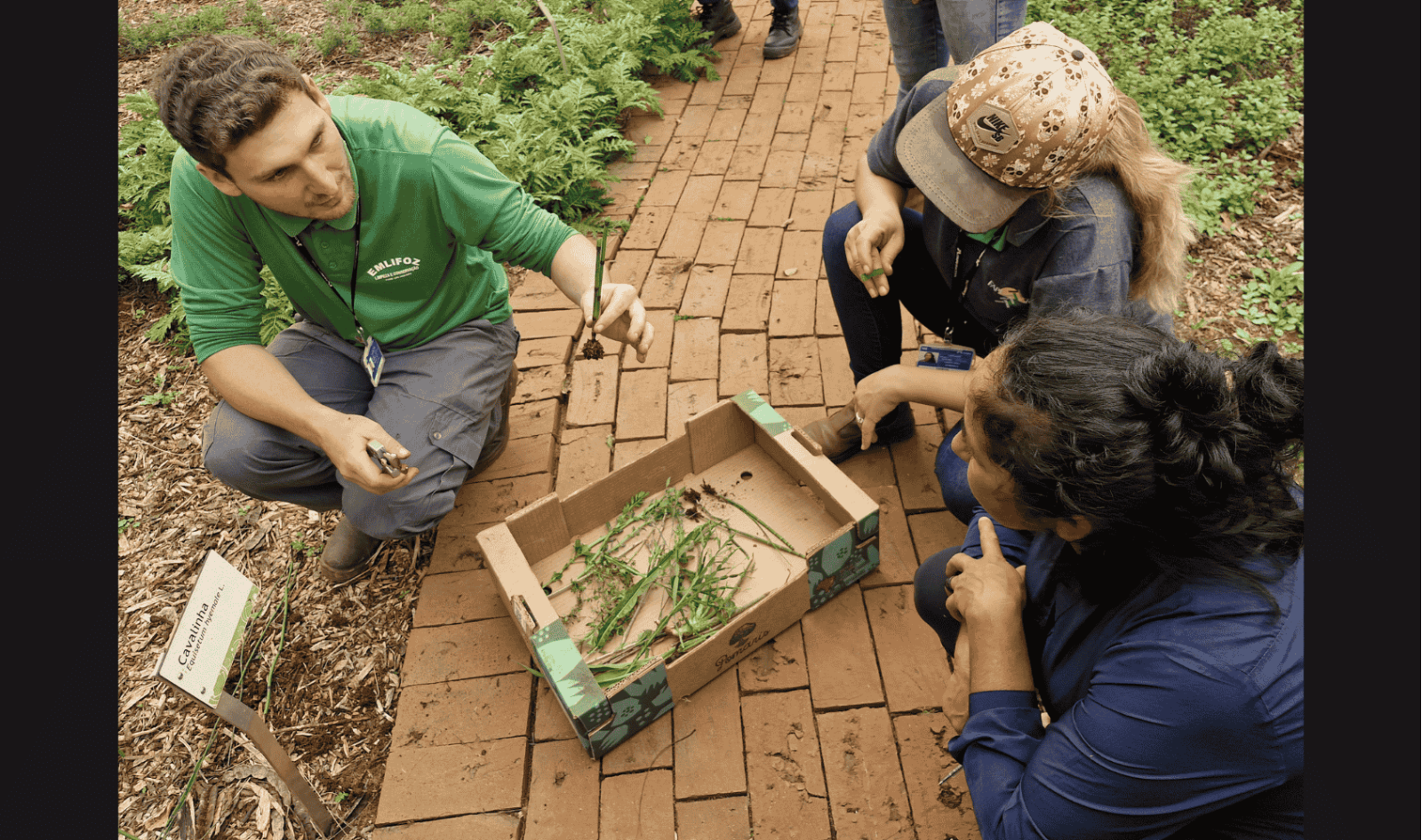 Ação em parceria com Itaipu leva ao campo práticas integrativas em saúde