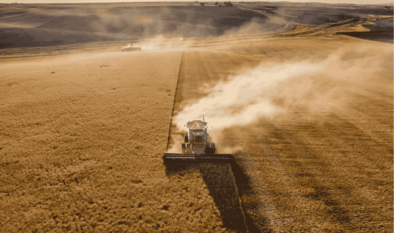 Crédito de carbono: receita alternativa para o produtor rural