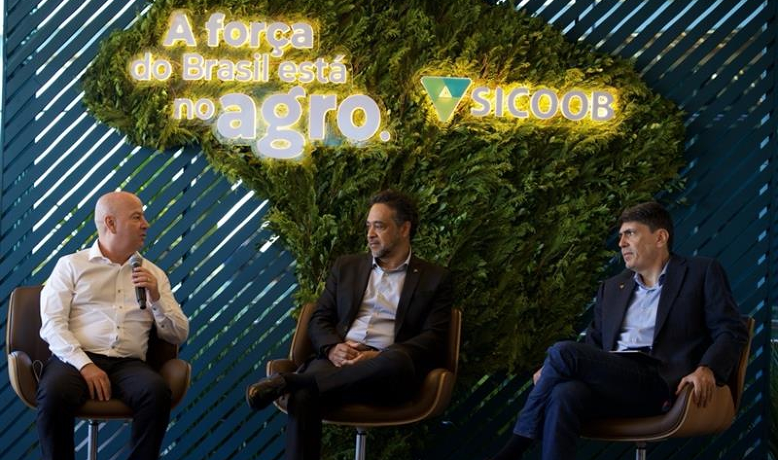 Crédito Rural: Sicoob projeta R$ 60 bilhões em concessões na Safra 25/26