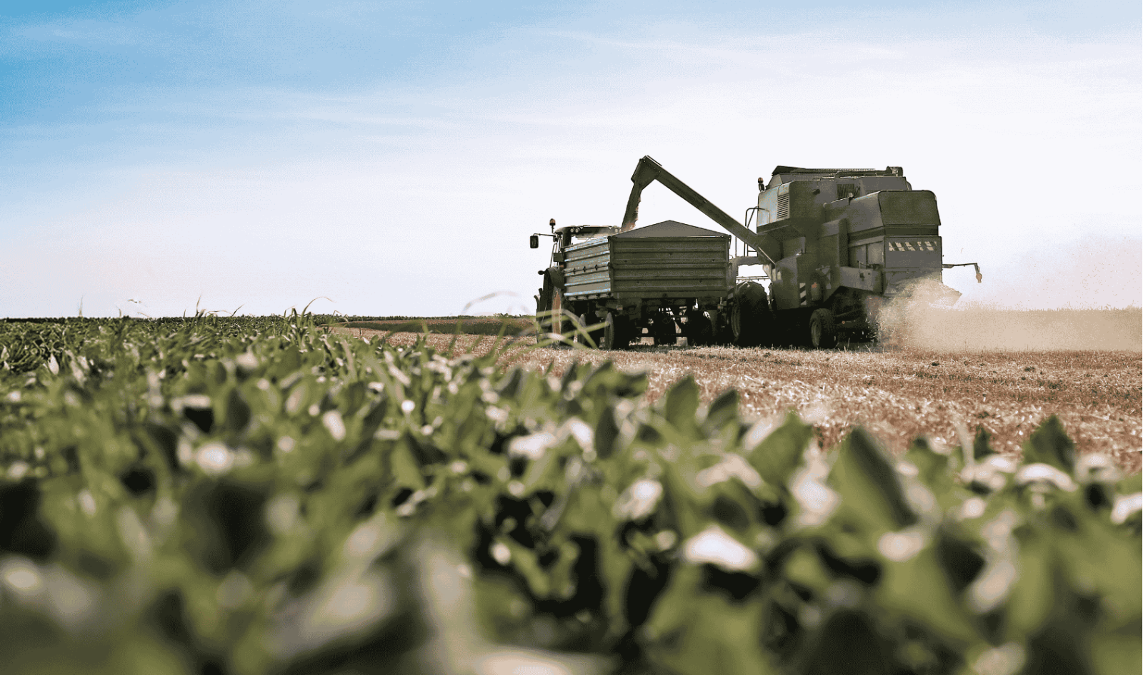 Sisprime ultrapassa R$ 1 bilhão em crédito para o agronegócio e consolida expansão no setor