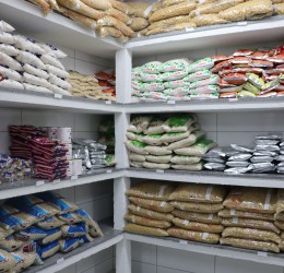 Com investimento de R$ 78 milhões, Fundepar entrega nova remessa de alimentos às escolas