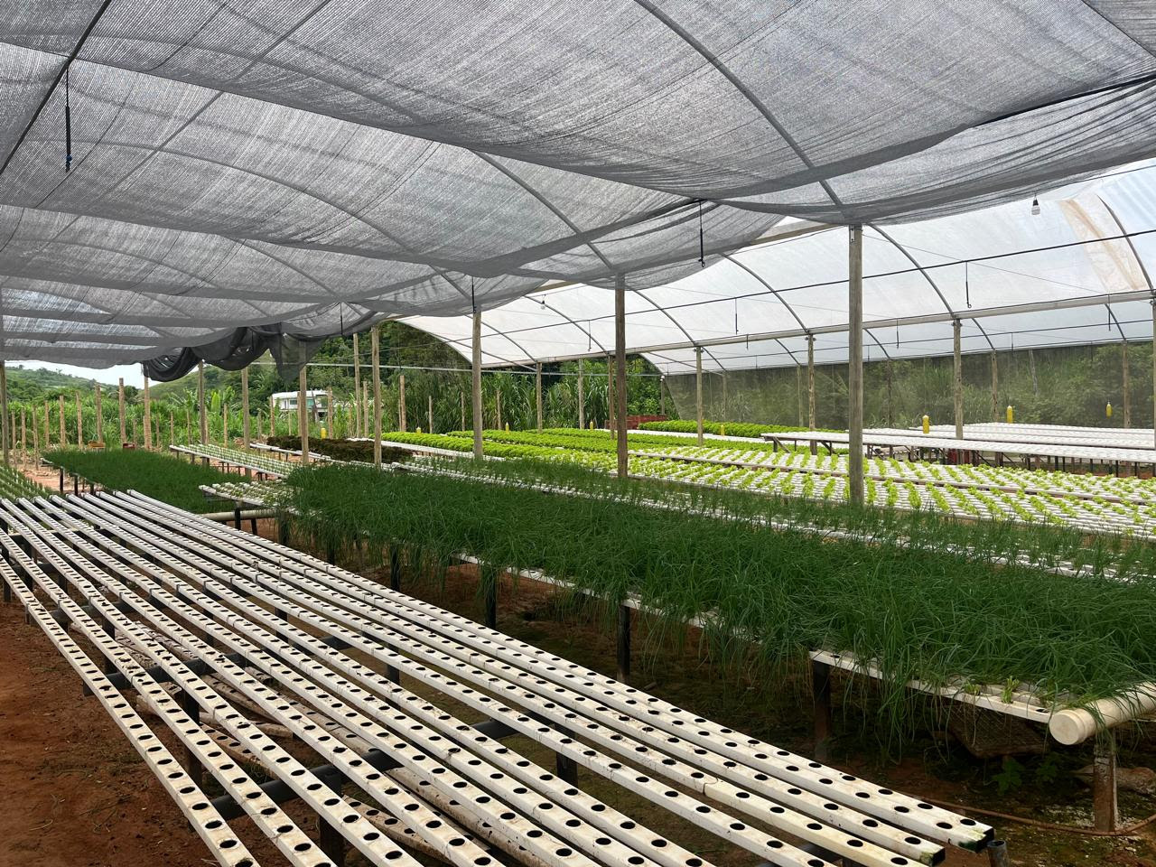 Custeio ajuda produtores a planejar a safra e manter a produção no campo