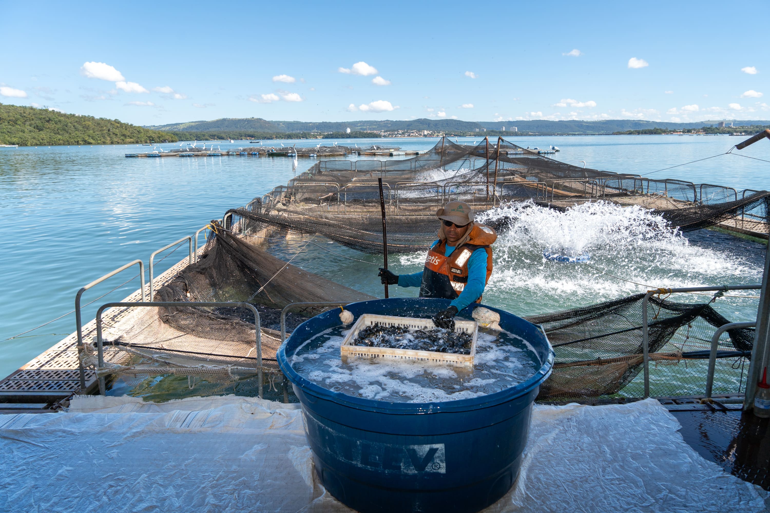 Itaipu e governos do Brasil e do Paraguai promovem visita técnica a produtores de tilápia